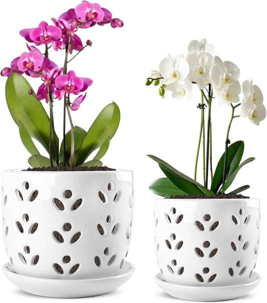 REMIAWY Orchid Pot, 2 Pack Orchid Pots with Drainage Holes and Saucer, 6 Inch and 5 Inch Large Ceramic Planter for Repotting Indoor Plants, Succulent, Decorative, Good Air Circulation, White