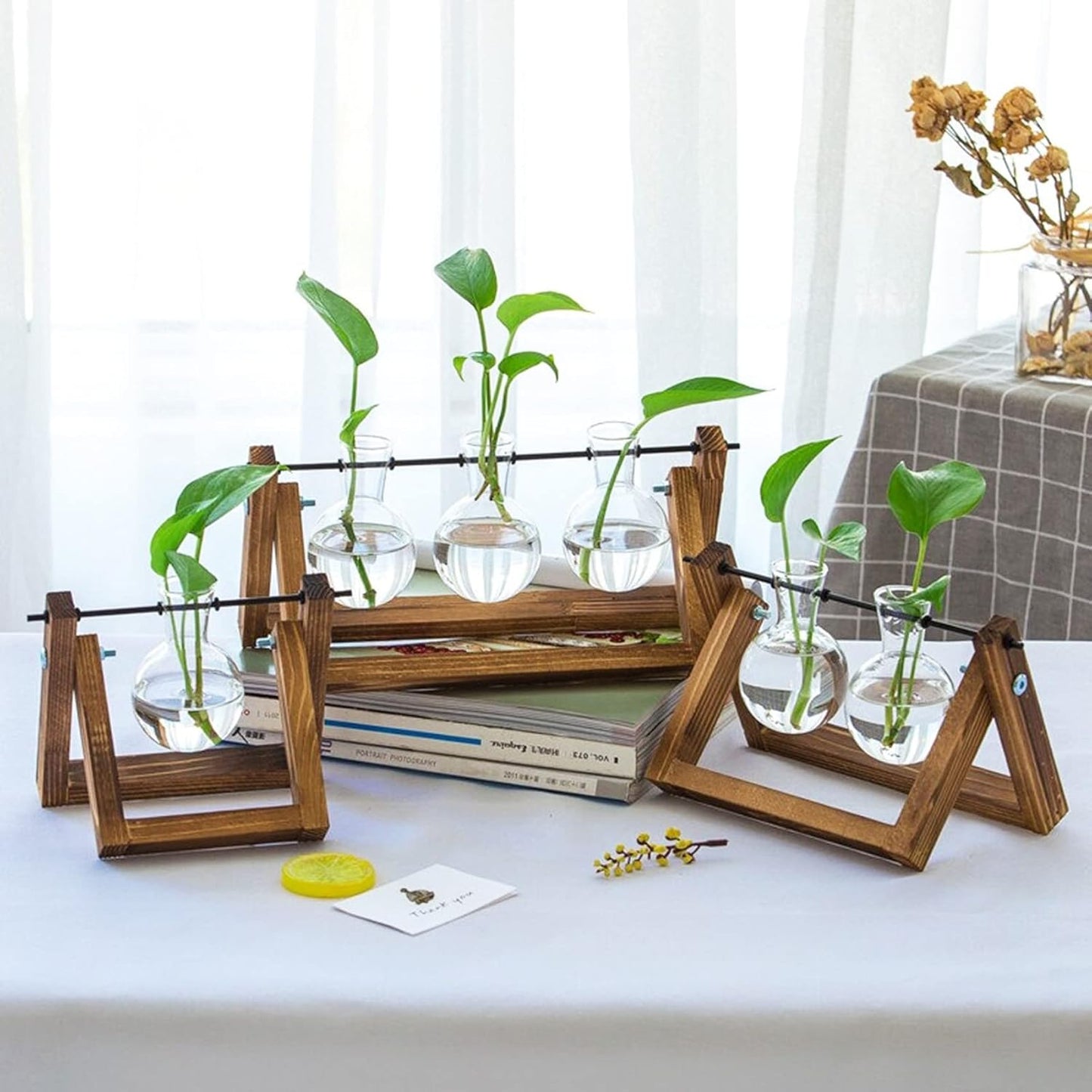 Kingbuy Glass Desktop Planter with Retro Wooden Stand and Plant Terrarium vase (2 Bulbs) for Indoor Office Desk Decor Accessories