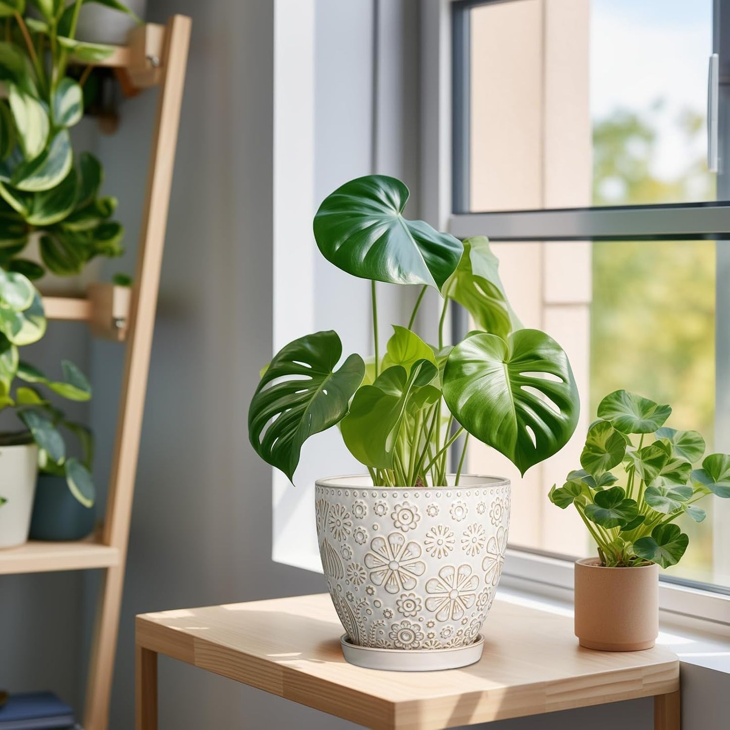 6.9 Inch Plant Pot with Drainage Hole and Saucer Ceramic Planter for Indoor Plant Flower Pot for Orchid Succulents Plants White