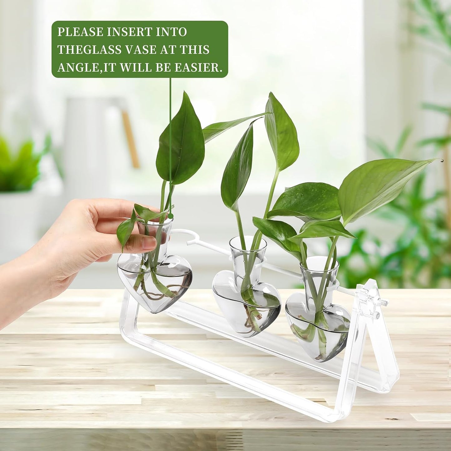 Plant Terrarium Propagation Stations with Wooden Stand Birthday Gifts for Women Plant Stand Indoor Office Home Decor
