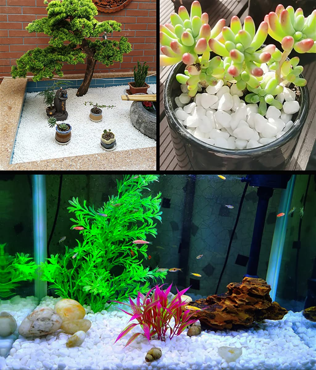 HOT SEAL 6.0 LB White Polished Pebbles 3/8", Natural Decorative Smooth River Rocks, Gravel Size White Small Pebble Stone for Succulent, Bonsai, Potted Plants, Landscaping, Fairy Garden, Aquarium