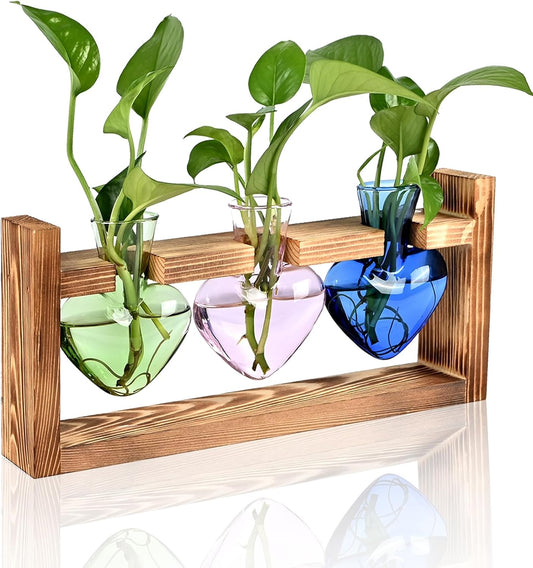 Plant Terrarium Propagation Stations Hydroponics Home Garden Decoration Gift for Women with Wooden Stand Heart Shaped Colored Glass Vase