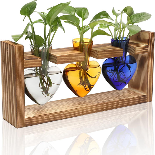 Plant Terrarium Propagation Stations Hydroponics Home Garden Decoration Gift for Women with Wooden Stand Heart Shaped Colored Glass Vase