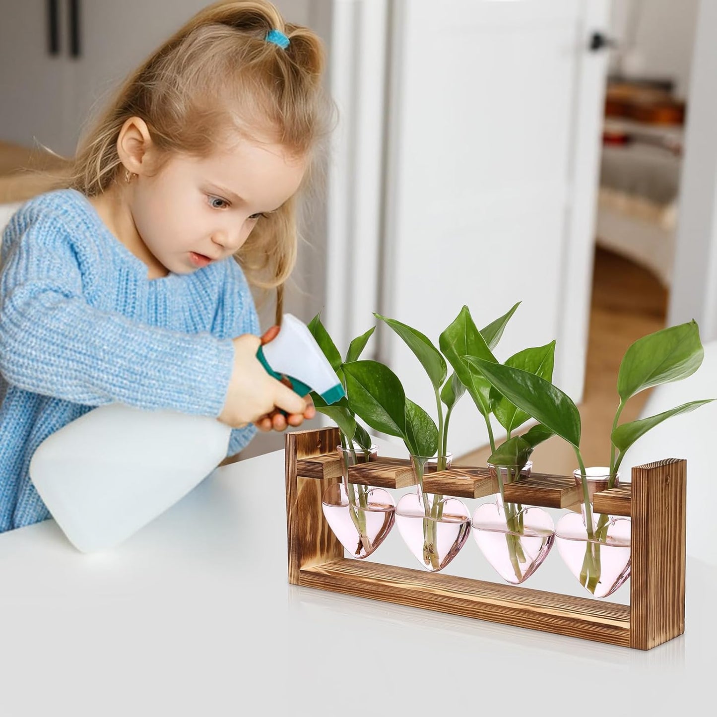 Plant Propagation Stations Heart Plant Terrarium Kit Gift for Women Plant Lover Glass Vases