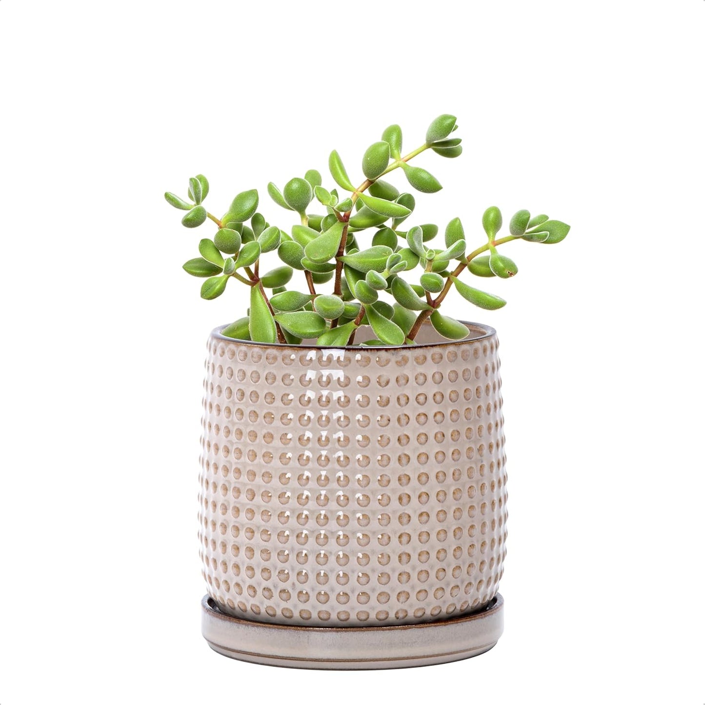 D'vine Dev 4 Inch Ceramic Beaded Stoneware Planter Pot - Flower Pot with Drainage Holes and Saucers for Indoor Succulent Plants or Flowers, Light Brown, 27-C-Z-4