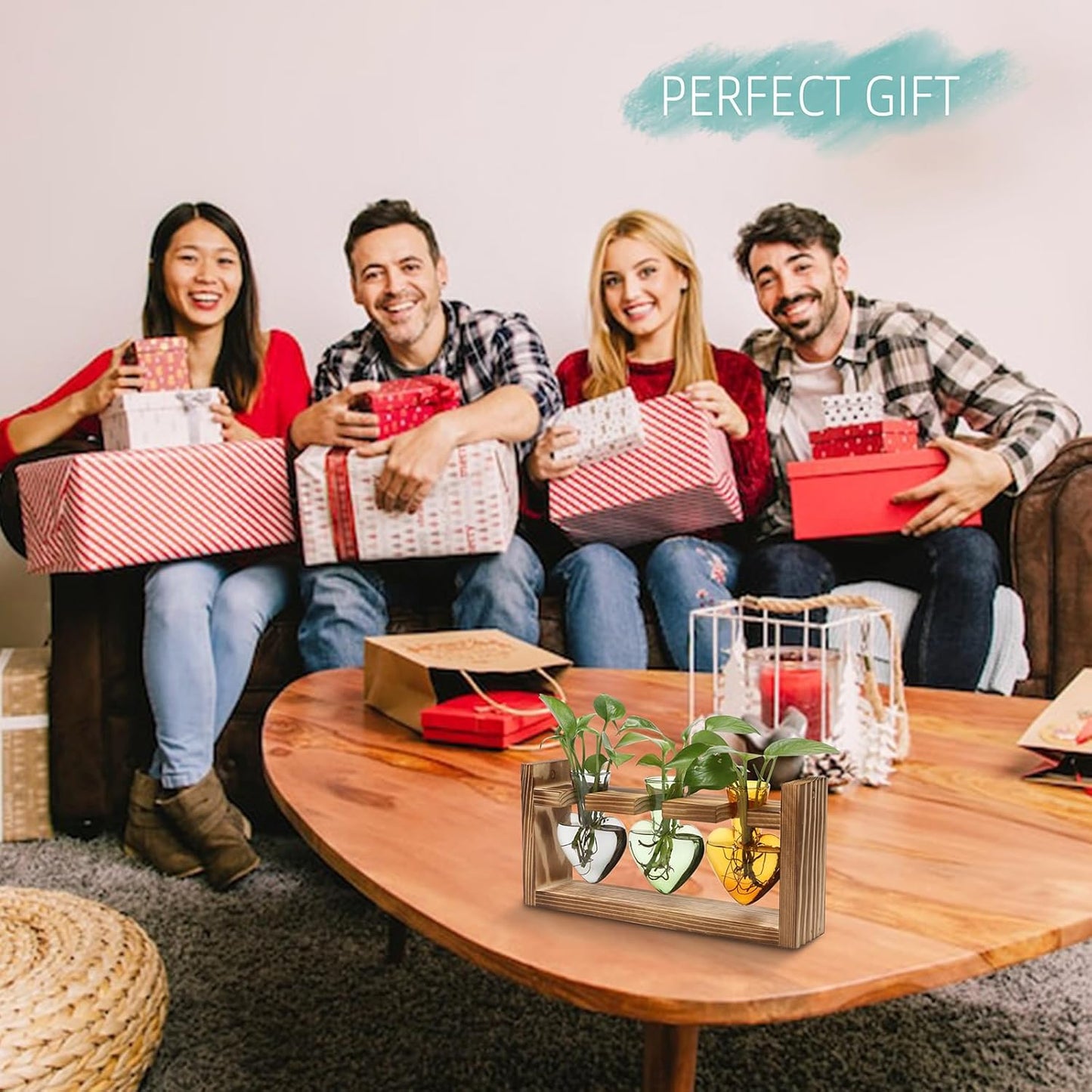 Plant Terrarium Propagation Stations Hydroponics Home Garden Decoration Gift for Women with Wooden Stand Heart Shaped Colored Glass Vase