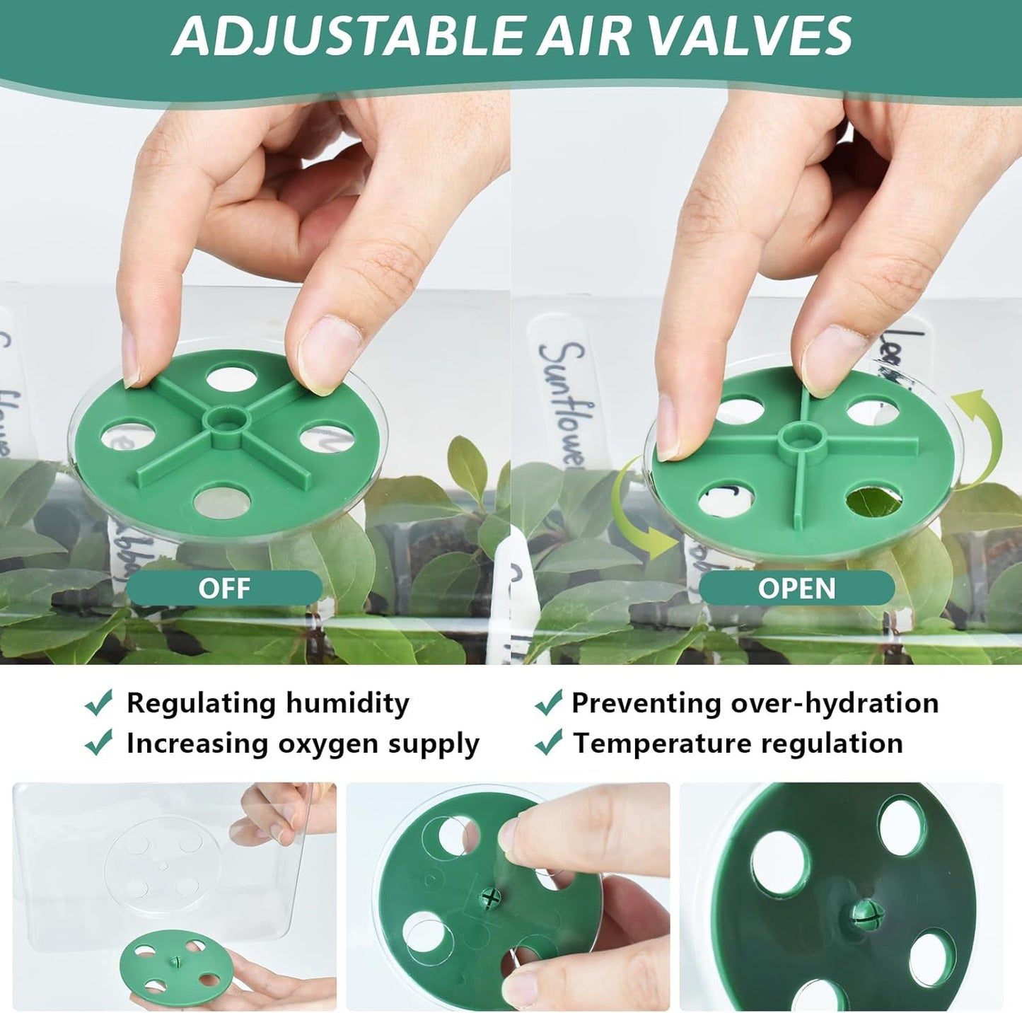 Artcome 10-Pack Seed Starter Tray - 6 Cells Each with Push-Up Ejector - Seed Starter Kit for Rapid Growth and Healthy Seedlings at Home - 30 Cells in Total