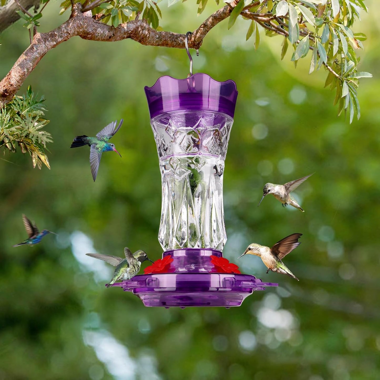 BOLITE Glass Hummingbird Feeders for Outdoors Hanging, Built-in Ant Moat, 4 Bee Guard Feeding Ports with Perches, Leak Proof, 15 Ounces, Stars Decor, Purple, Gifts for Women Men, Gifts for Mom Dad
