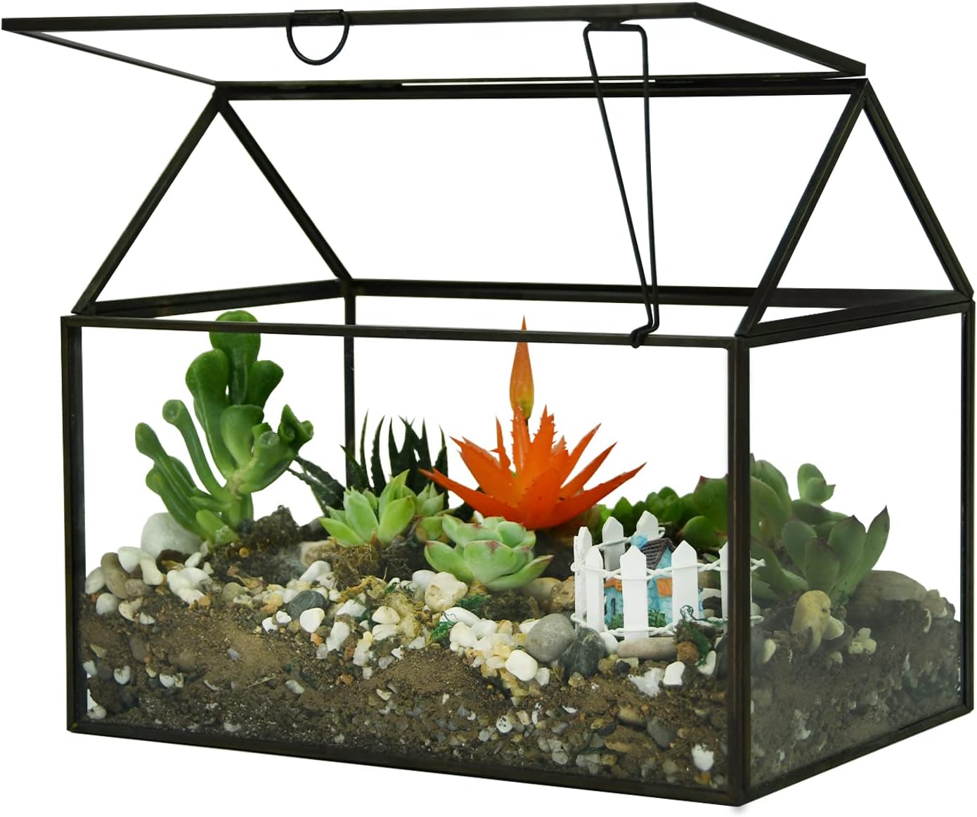 Black 1 Large Glass Plant Terrarium Kit with Lip Greenhouse for Succulents