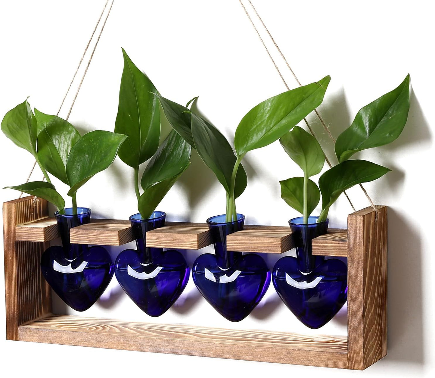 Plant Propagation Stations Heart Plant Terrarium Kit Gift for Women Plant Lover Glass Vases