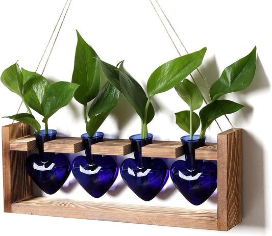 Plant Propagation Stations Heart Plant Terrarium Kit Gift for Women Plant Lover Glass Vases