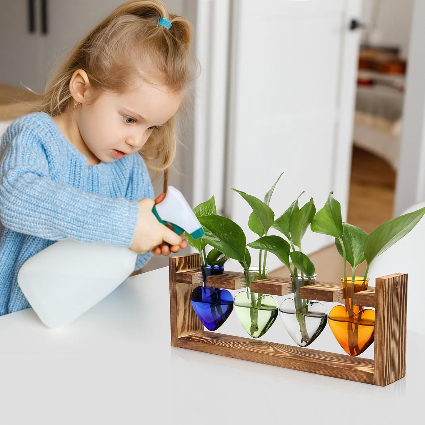 Plant Propagation Stations Heart Plant Terrarium Kit Gift for Women Plant Lover Glass Vases