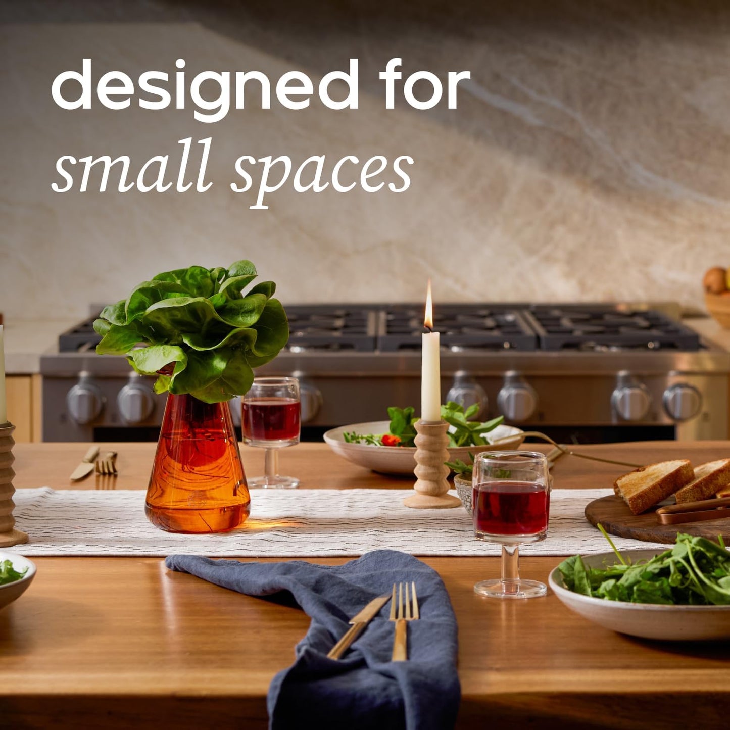 Counterstand Set – Vase Plant for Indoor Edible Garden Kit for Herbs & Lettuce – Small-Space Hydroponic System – Home Decor & Gifting – Without Live Plants