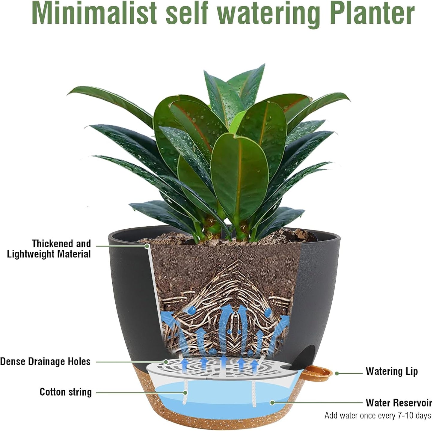 12 inch Large Self Watering Pots, Plant Pots with Mesh Drainage Holes for Indoor Outdoor Plants, Plastic Planters with Deep Reservoir for Garden House Flower Plants, Black with Brown