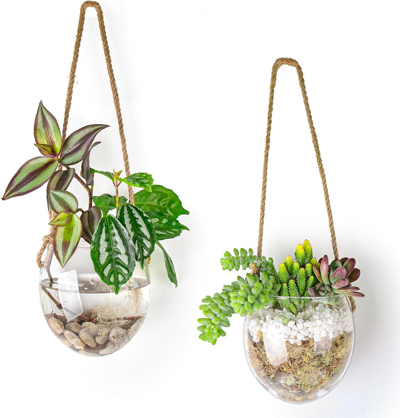 Wall Hanging Glass Planter Air Planter Terrarium Vase Propagation Stations for Hydroponic Plants, Succulent Moss Tillandsias Air Plants Globe,Home Office Garden Decor, Set of 2