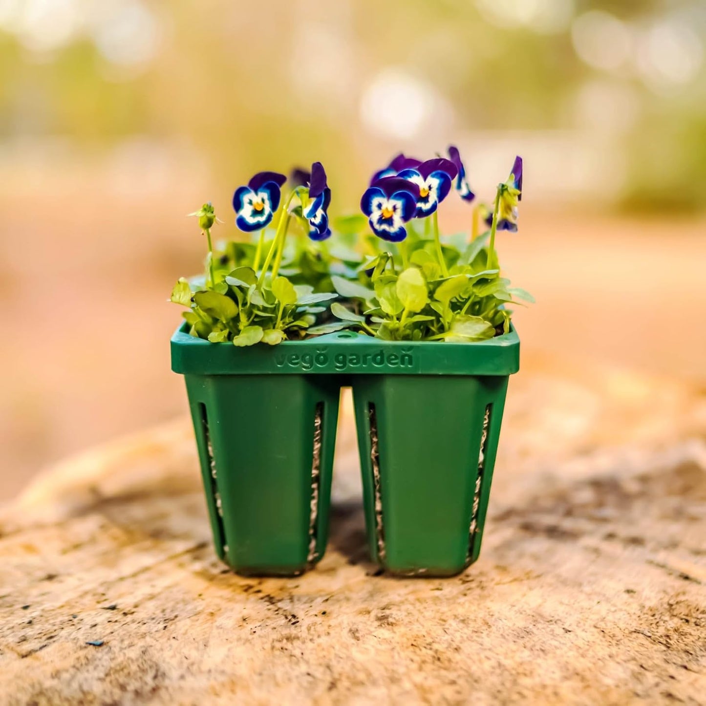 Vego garden Jumbo Seedling Trays Without Lids, 8 Pack Reusable Propagator Growing Starter Tray for Larger Plants, Heavy-Duty Plastic Germination Trays (4-Cell per Tray)