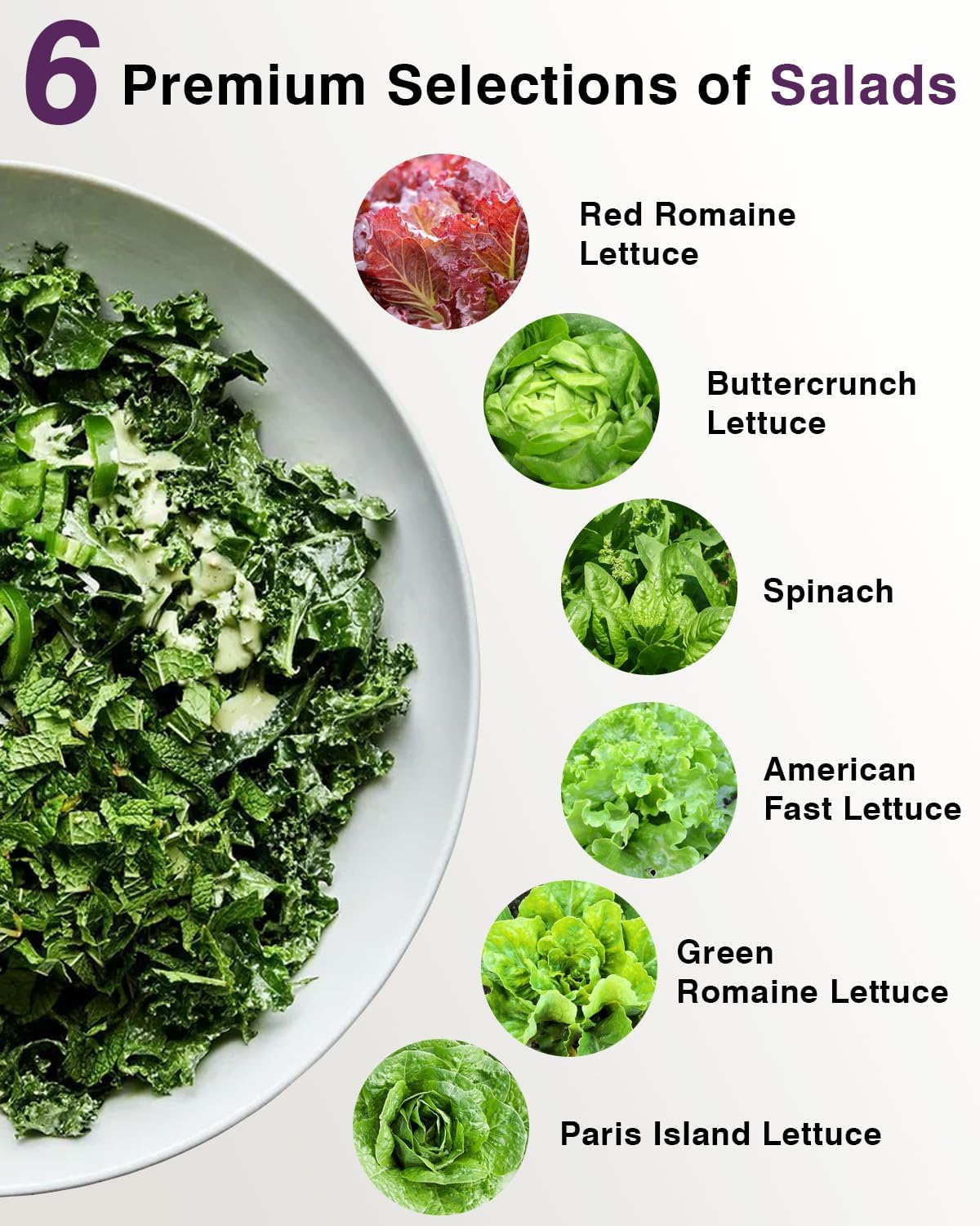 Salad Greens Seed Pod Kit for AeroGarden, iDoo, Ahopegarden, MUFGA with Red/Green Romain/American Fast/Buttercrunch/Parris Island Lettuce, Spinach - Compatible with All Garden (12-Pod)