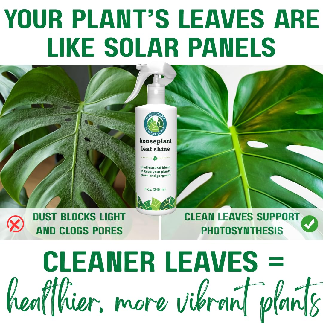 Houseplant Leaf Shine Spray – All-Natural Leaf Cleaner and Gloss for Healthy Shine & Better Photosynthesis | Perfect for House Plants and Foliage | 8 oz