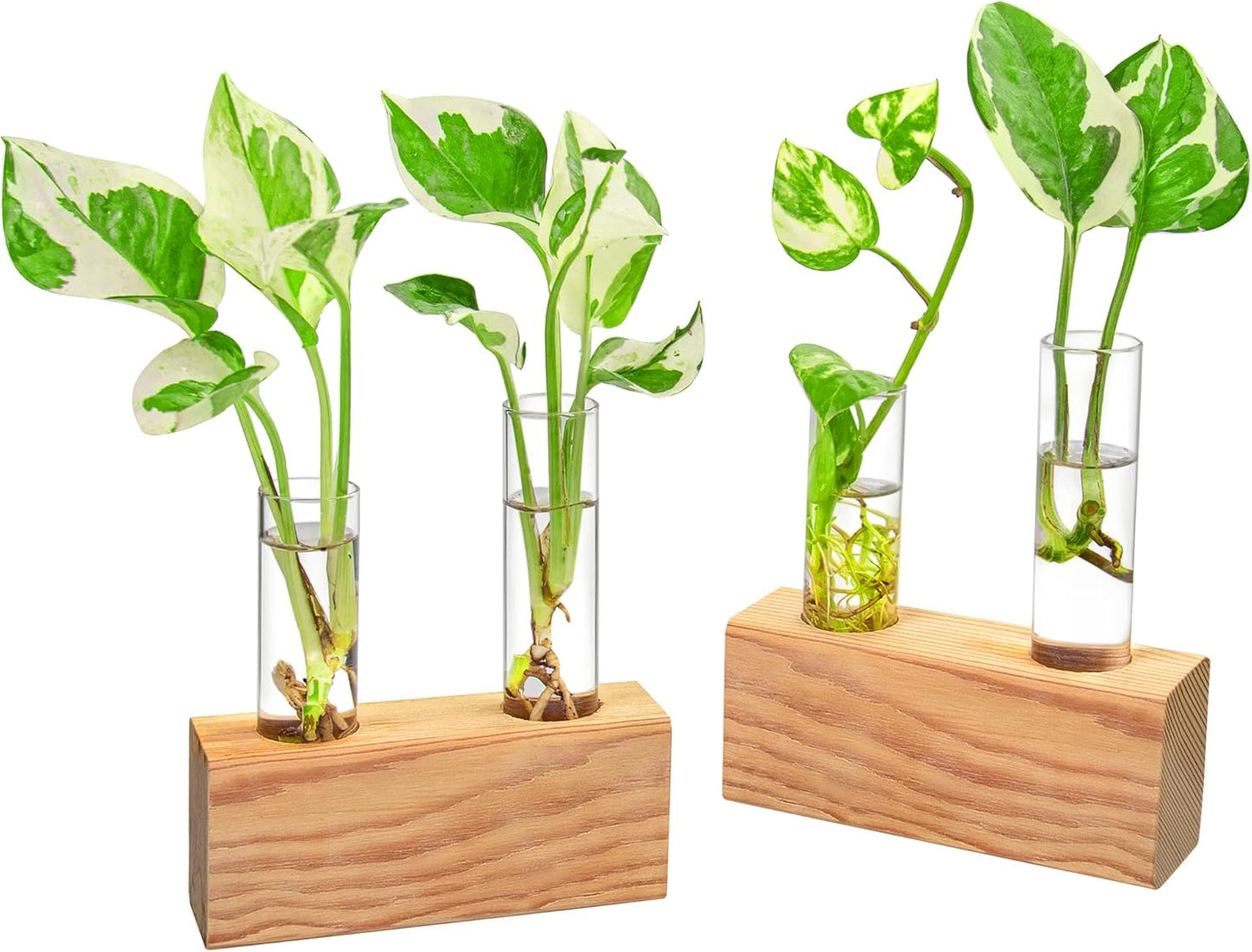 Ivolador Propagation Stations Double Test Tube Plants Terrariums in Wooden Stand Propagation Station for Hydroponic Plants Office Home Decoration