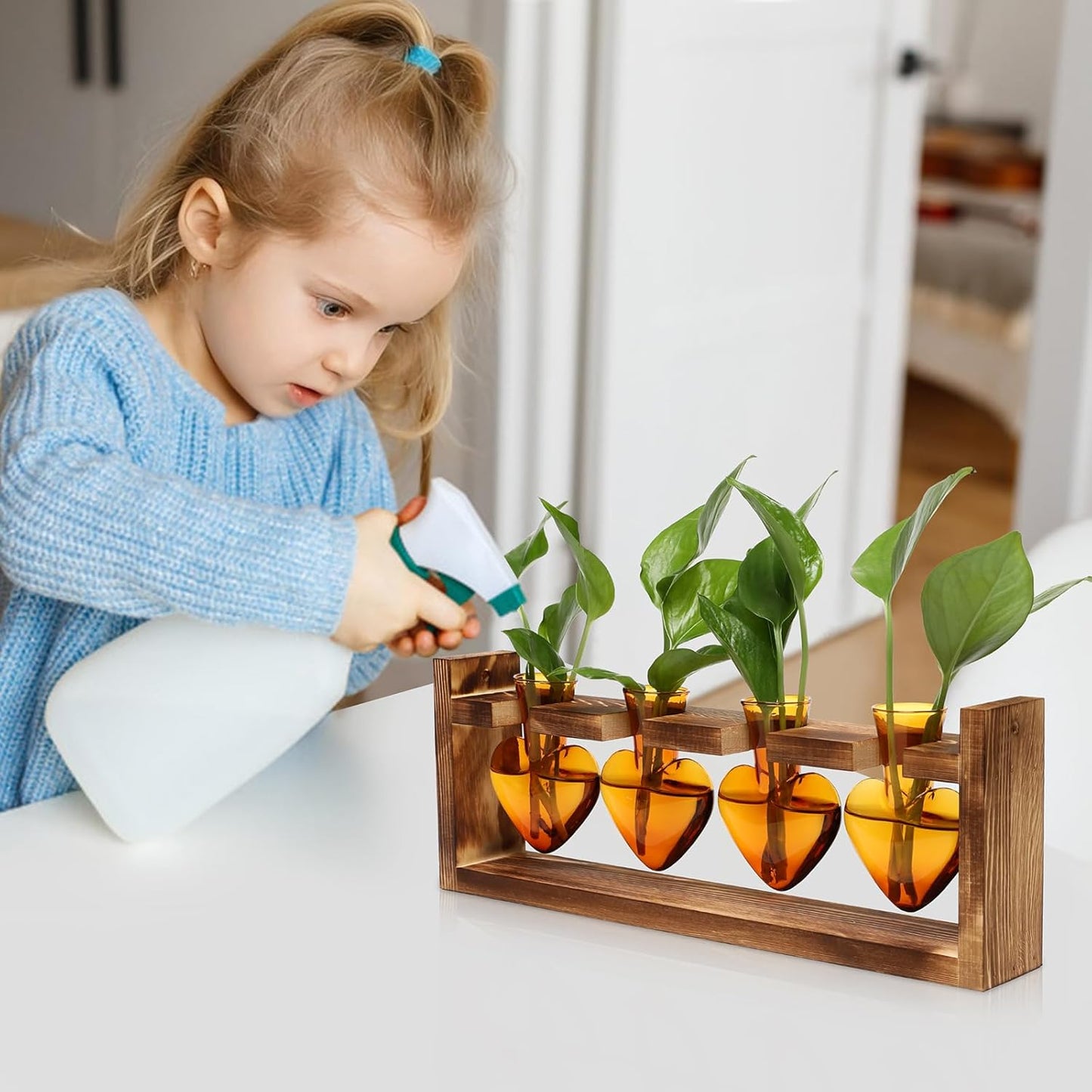 Plant Propagation Stations Heart Plant Terrarium Kit Gift for Women Plant Lover Glass Vases