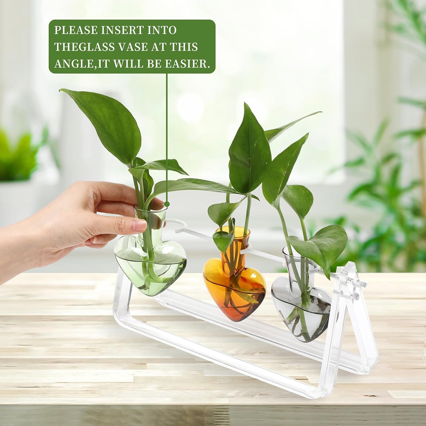 Plant Terrarium Propagation Stations with Acrylic Stand Birthday Gifts for Women Plant Stand Indoor Office Home Decor