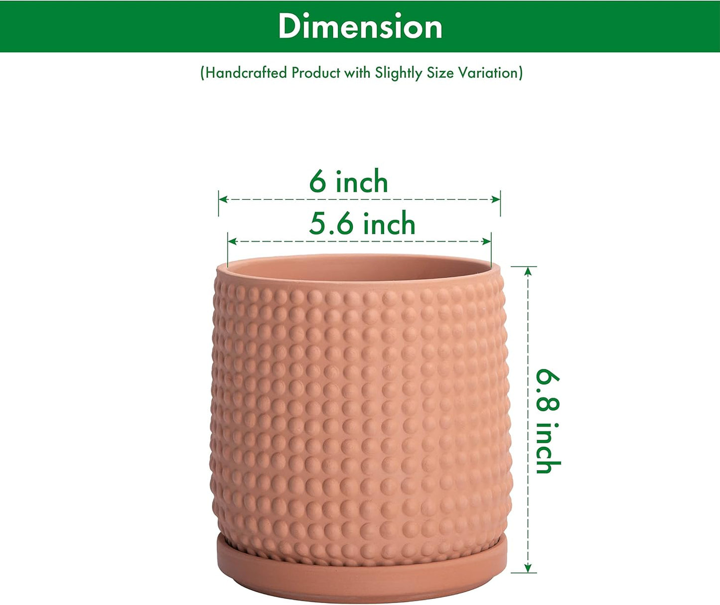 D'vine Dev 6 Inch Terracotta Beaded Planter Pot - Flower Pot with Drainage Hole and Saucer for Indoor Succulent Plants or Flowers, Terracotta, 27-C-X-7