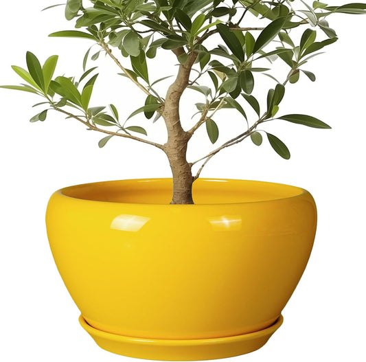 Ceramic Planter for Indoor Plants - 13 Inch Mid-Century Decorative Modern Large Plant Pot with Drainage Hole and Saucer, Home Balcony House Garden Patio Room Office Decor, Yellow