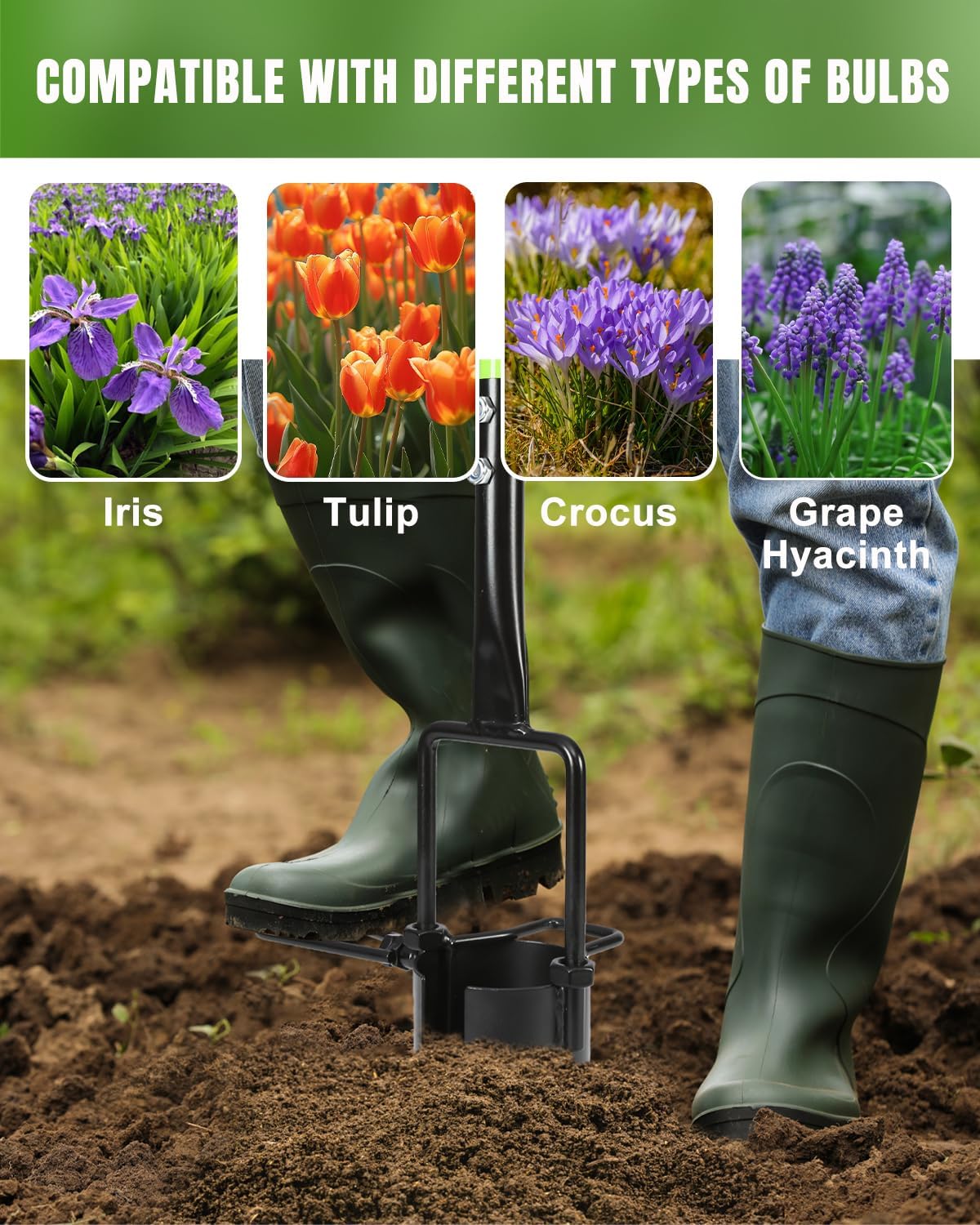 joyhalo Bulb Planter Tool Long Handle, 30in Serrated Base, 5 in 1 Lawn Tool, Sod Cutter, Grass Plugger Tool, Weeding, Transplanting, Garden Hole Digger for Plants, Flower Tulips Daffodils Lily