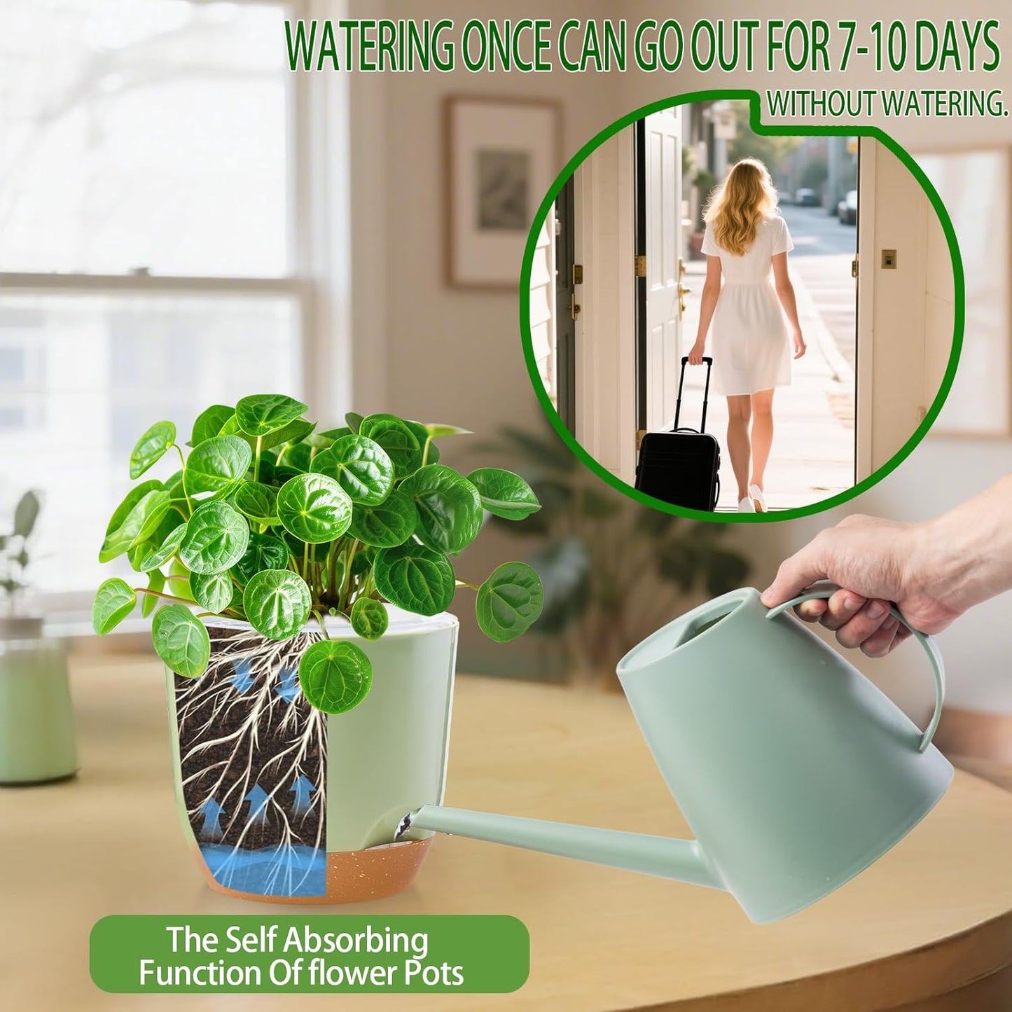 Self Watering Orchid Pots for Indoor Plants,5.8 Inch Macetas para Orqudeas,Flower Pots for Indoor Plants with Holes(Green)