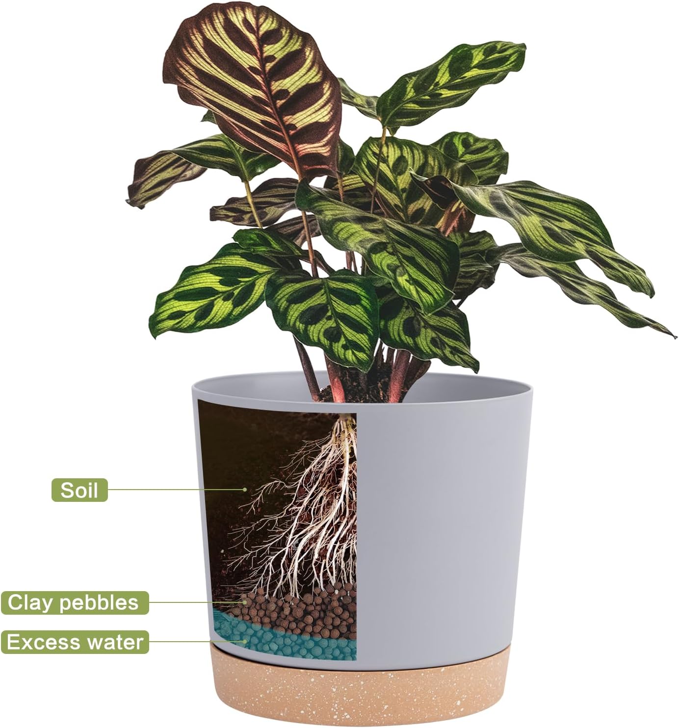 QCQHDU 6.5 inch Plant Pot, 2 Pack Planters for Indoor Plants with Drainage Holes & Saucer, Outdoor Flower Pots Home Garden Modern Decor