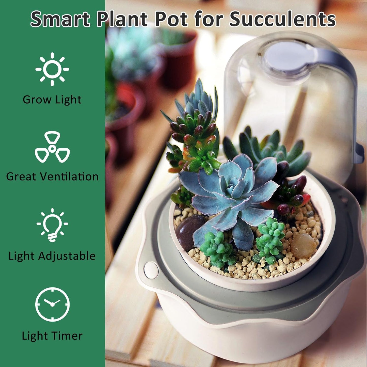 Smart Venus Fly Trap Terrarium Pot with Timer&Fan,Succulent Planter with Grow Light,Indoor Plant Terrarium Kit for Carnivorous Plants,Sundew Moss,Cactus, for Dad (No Plant)