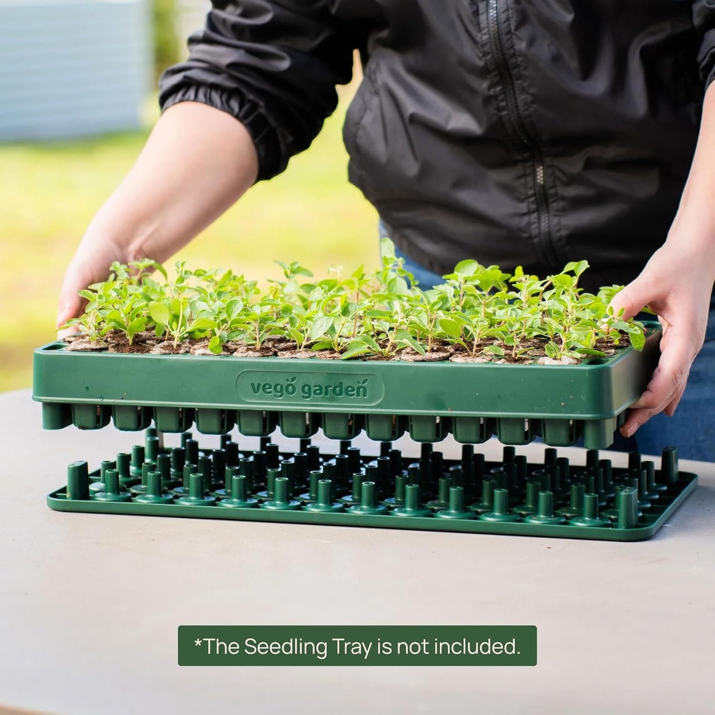 Vego garden Seedling Popper Tool, 3-in-1 Plant & Pop Board - 10" x 20", Works Perfectly with Stackable Seedling Trays