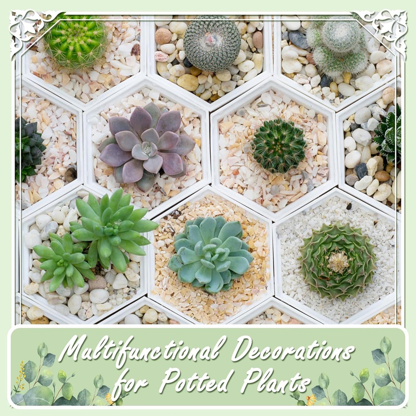 11lbs Natural River Rocks, High-Polished Pebbles for Plants Garden, 1-2 inch Decorative Stones, Ideal for Fish Tank, Vases, Garden Landscaping Rocks Landscaping, Black