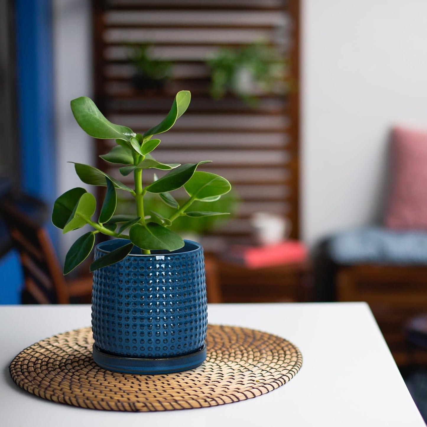 D'vine Dev 4 Inch Ceramic Beaded Stoneware Planter Pot - Flower Pot with Drainage Holes and Saucers for Indoor Succulent Plants or Flowers, Midnight Blue, 27-C-Z-3