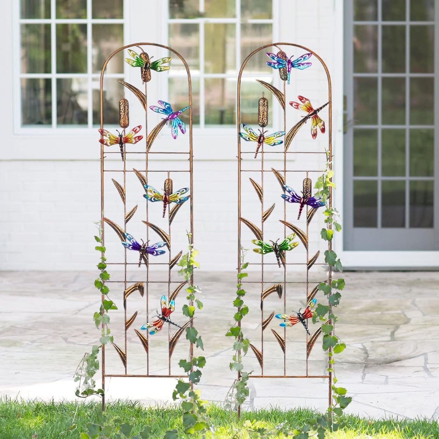 LEWIS&WAYNE 2 Pack Metal Garden Trellis with Colorful Dragonfly 60 Inch High Outdoor Decoration Arched Fence Trellis for Climbing Plants for Patio, Lawn, Yard, Backyard, Wall Brackets