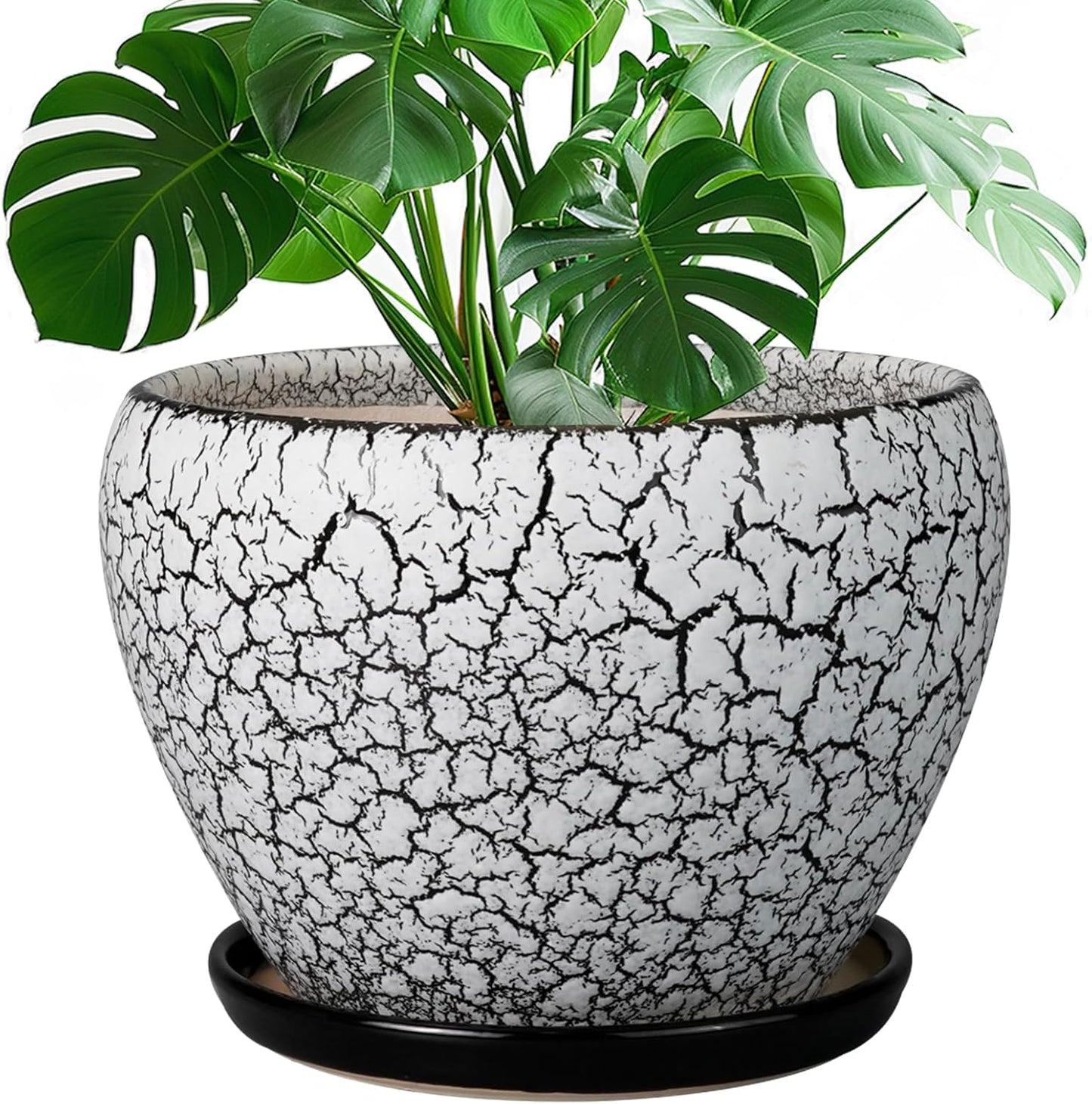 Ceramic Planters for Indoor Plants - 10 Inch Plant Pot with Drainage Hole and Saucer, Large Flower Pot for Home Decor, White/Black