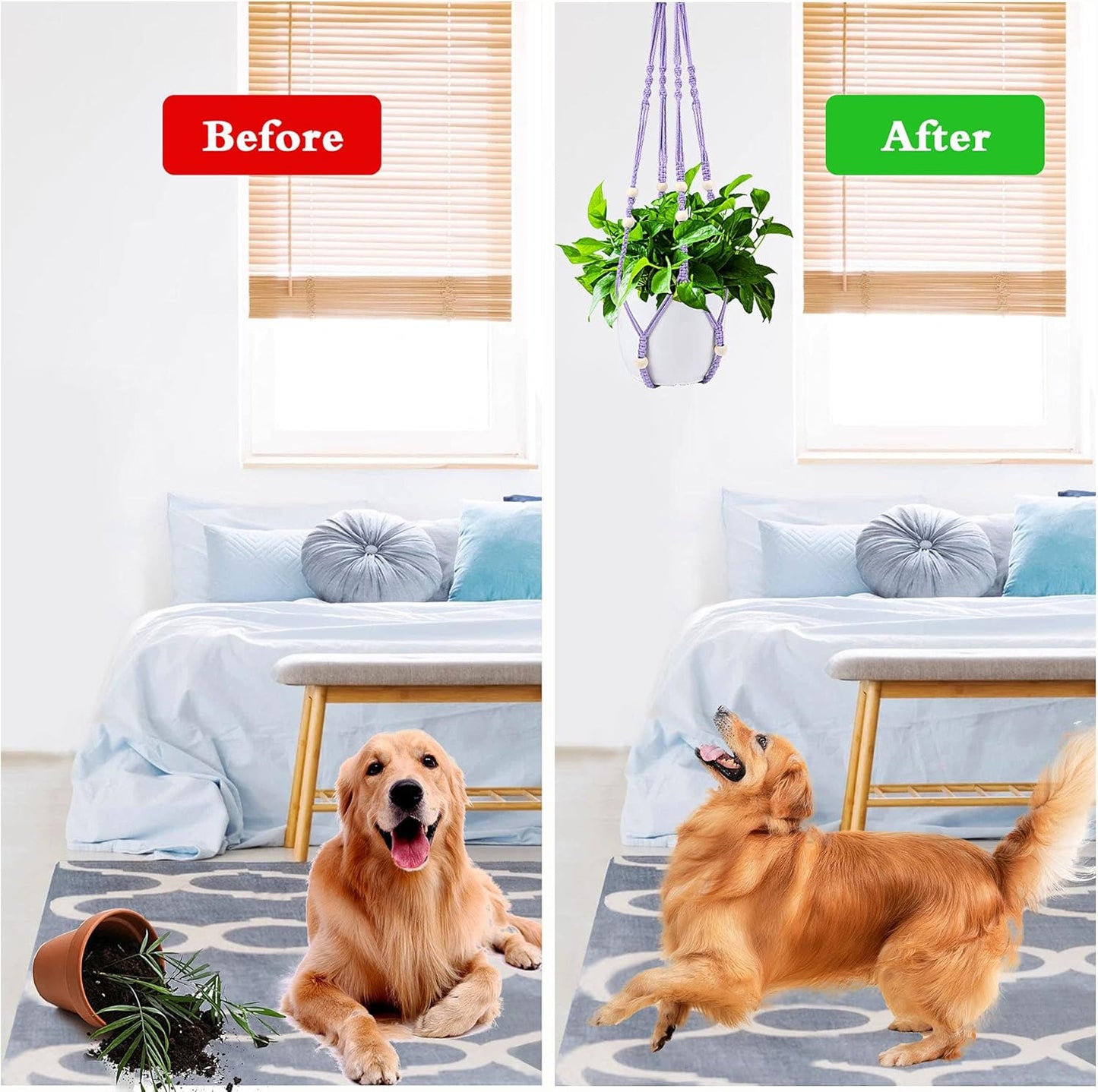 Augshy Macrame Hanging Planter, Hanging Planters for Indoor Outdoor Home Decor, Hanging Plant Holder No Tassels Set of 2 with 4 Hooks