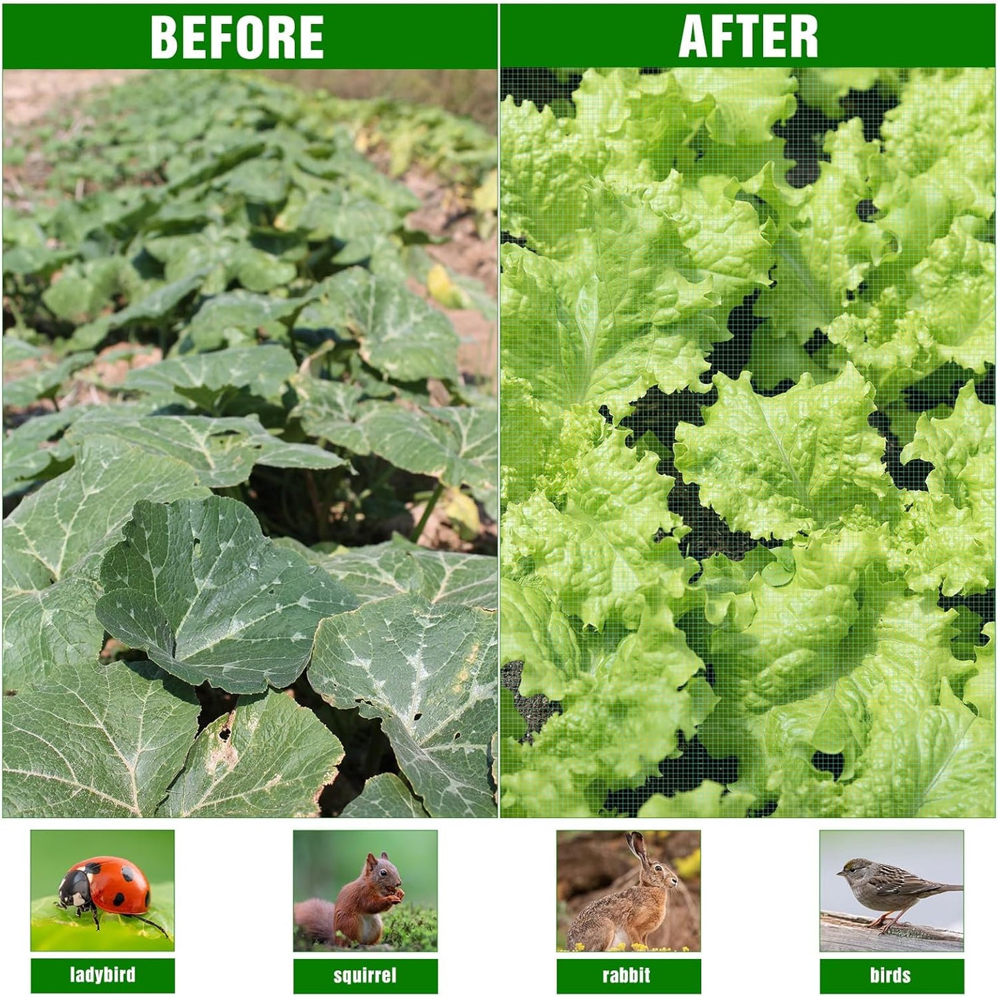 Woanger 10 x 100 ft Garden Mesh Netting Ultra Fine Plant Covers Garden Netting to Protect Vegetable Plants Fruits Flowers Crops Greenhouse Row Cover Patio Barrier Screen Protection Net (Green)