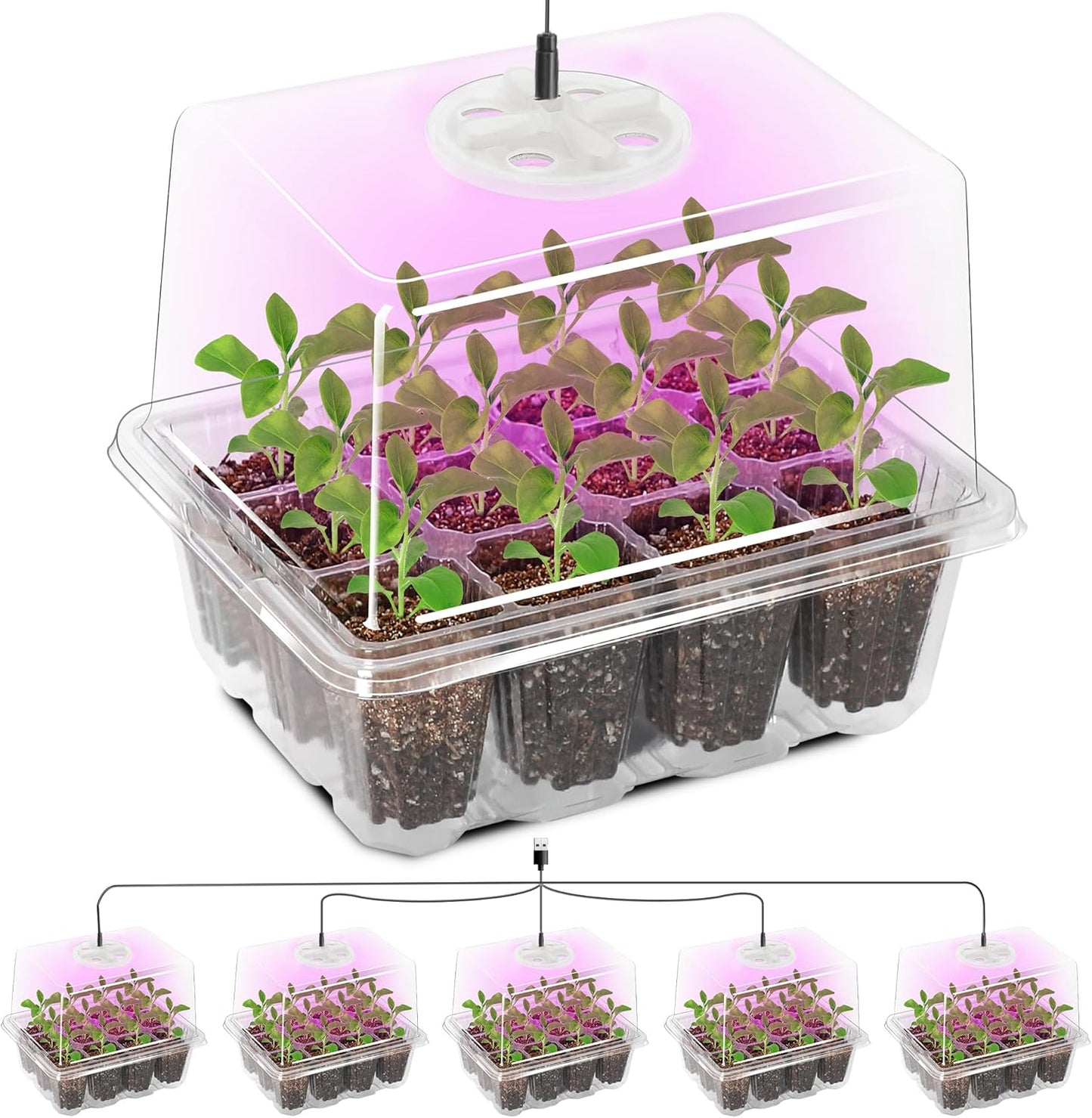 Bonviee 5 Packs Seed Starter Tray with Grow Light, Elevated Seedling Starter Trays Kits with Adjustable Humidity Domes and Clear Cell Tray, 12 Full Spectrum led lamp Beads for Plants Indoor-Clear