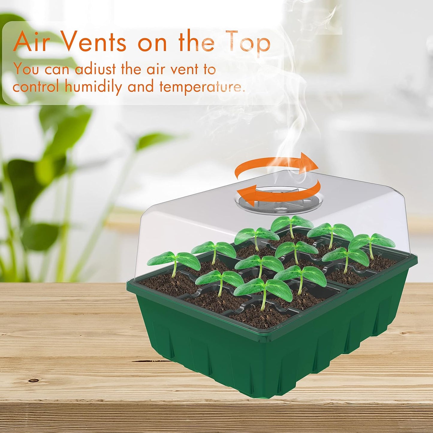 Gardzen 10-Set Garden Propagator Set, Clear Seed Tray Kits with 120-Cell, Seed Starter Trays with Dome and Green Base 6.6" x 4.5" (12-Cell Per Tray)