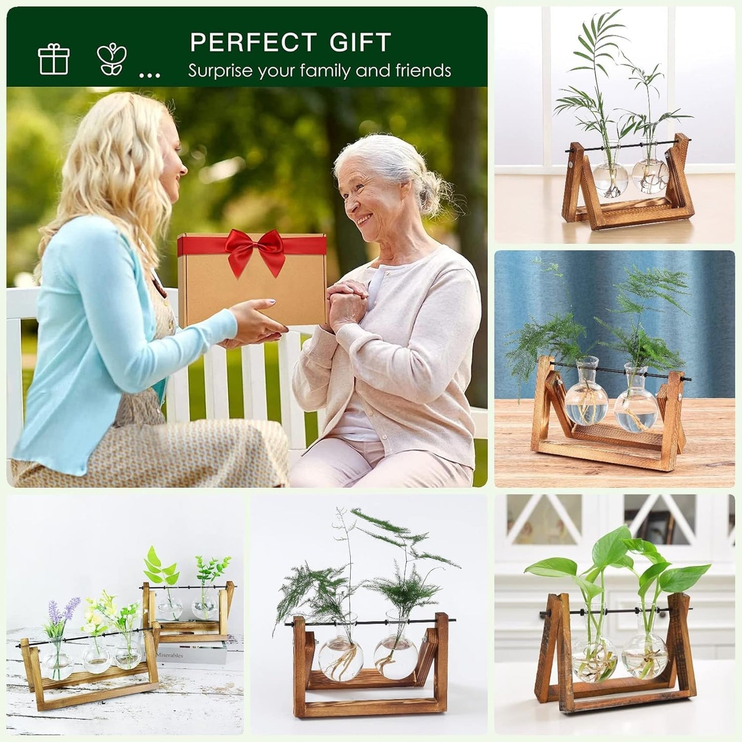 Kingbuy Glass Desktop Planter with Retro Wooden Stand and Plant Terrarium vase (2 Bulbs) for Indoor Office Desk Decor Accessories