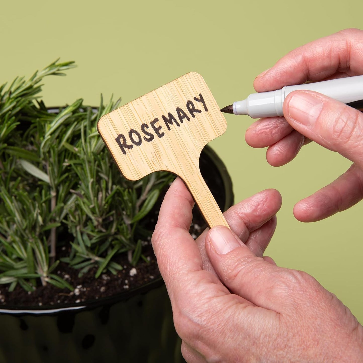 Bamboo Plant Stakes, 50pcs, Extra Long Plant Labels (2.25" x 1.5" x 7"), Bamboo Garden Signs, 50 pcs Plant Tags, Plant Identifications Stakes, Plant Markers