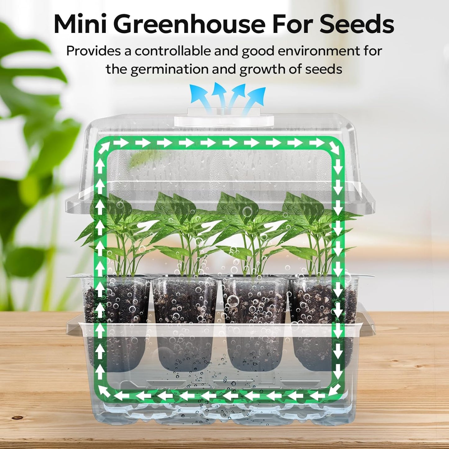 MIXC 10 Packs Seed Starter Tray Seed Starter Kit with Humidity Dome (120 Cells Total Tray) Seed Starting Trays Plant Starter Kit and Base Mini Greenhouse Germination Kit for Seeds Growing Starting