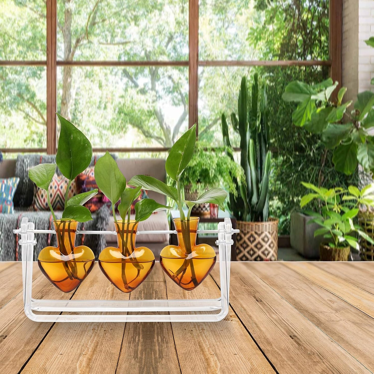 Plant Terrarium Propagation Stations with Wooden Stand Birthday Gifts for Women Plant Stand Indoor Office Home Decor