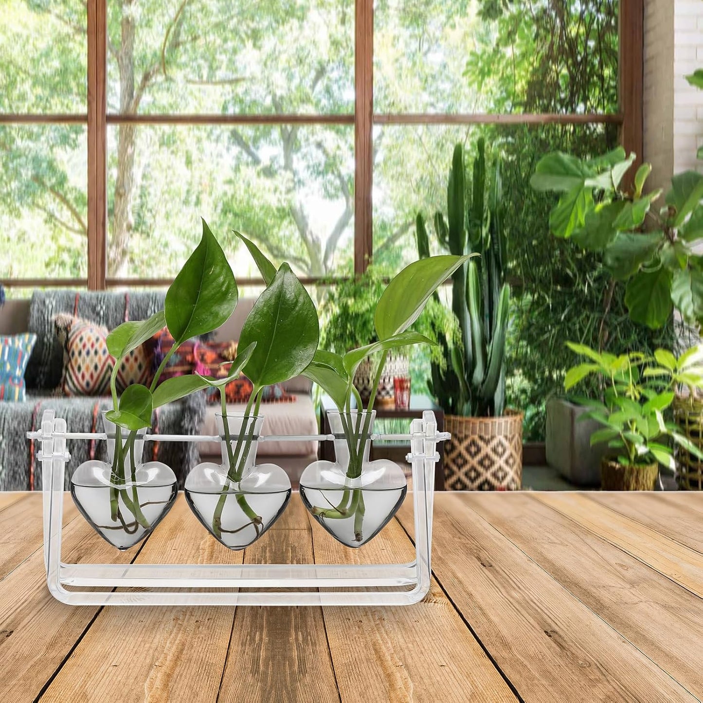 Plant Terrarium Propagation Stations with Wooden Stand Birthday Gifts for Women Plant Stand Indoor Office Home Decor