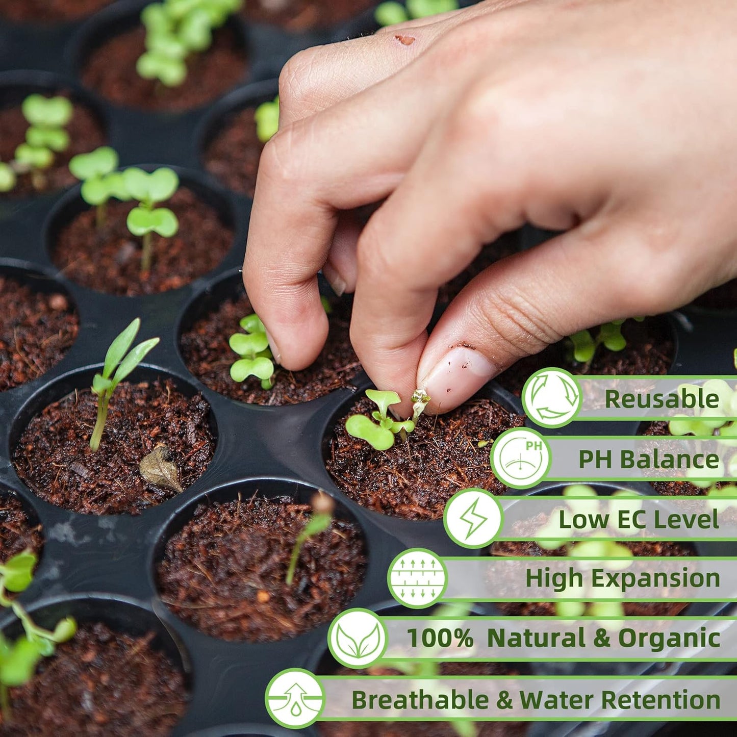 Coco Coir Brick for Plants, 12 Packs 100% Natural Organic Compressed Coconut Coir Fiber with Low EC & PH Balance, High Nutrition Coconut Soil Coco Fiber for Planting, Herbs