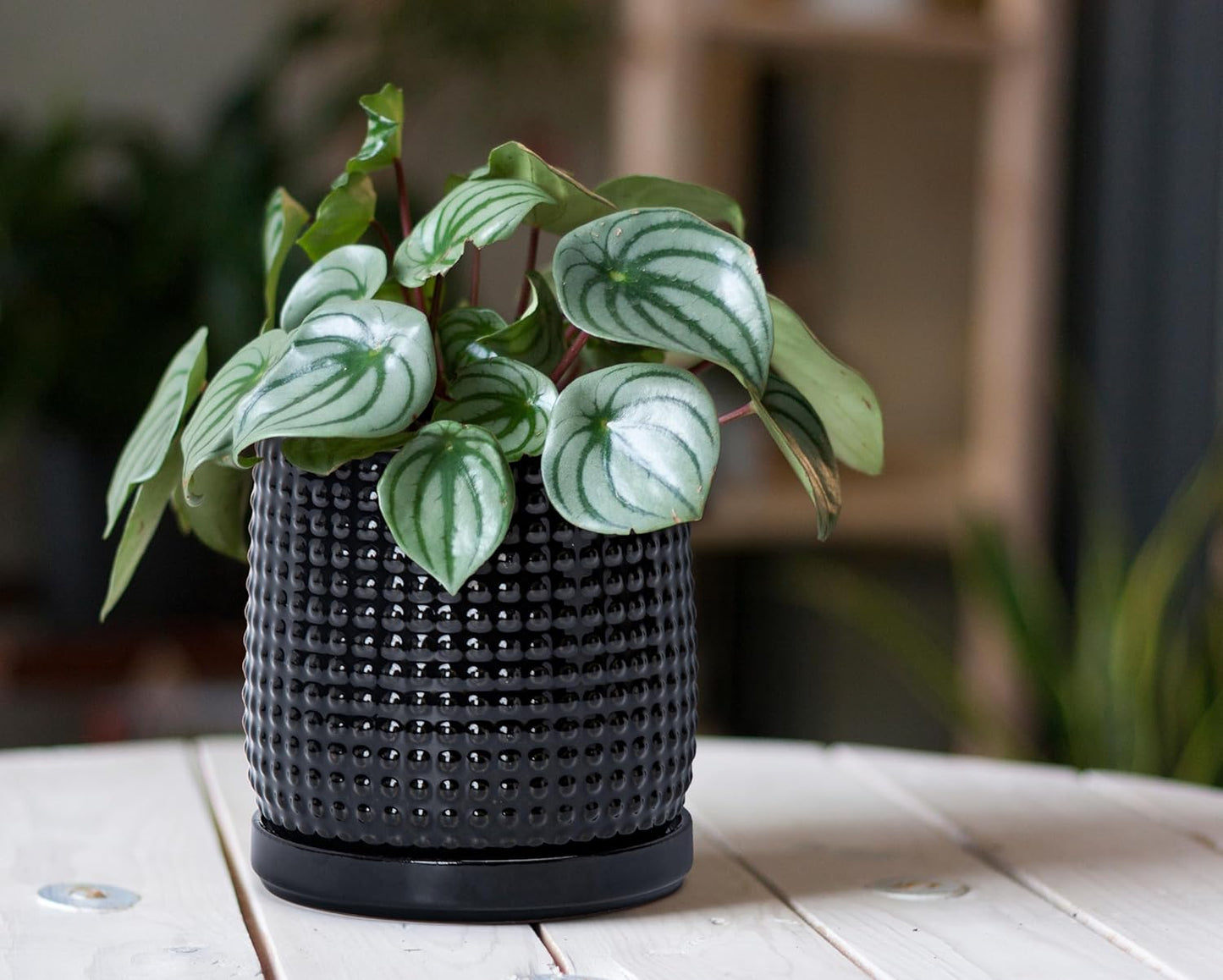 D'vine Dev 6 Inch 4 Inch Ceramic Indoor Planter Pots with Drainage Hole and Saucer, Beaded Design Flower Pots, Set of 2, Gloss Black, 27-D-U-2