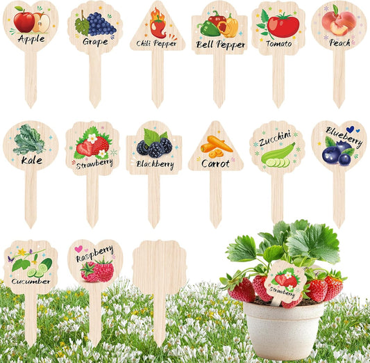 Vegetable Plant Label - 15PACK Garden Markers, Fruit Plant Labels for Outdoor Garden Waterproof, Plant Tags with Names, Indoor Patio Tags for Succulent Flowers Greenery Seedling