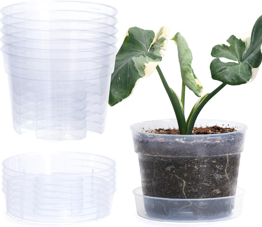 6 Inch Clear Plastic Plant Pot with Drainage Holes, Interlocking & Detachable Tray - Deep Saucer - Durable BPA-Free Plastic, Transparent Design, Raised Base for Airflow, Set of 6, 92-X-A-4