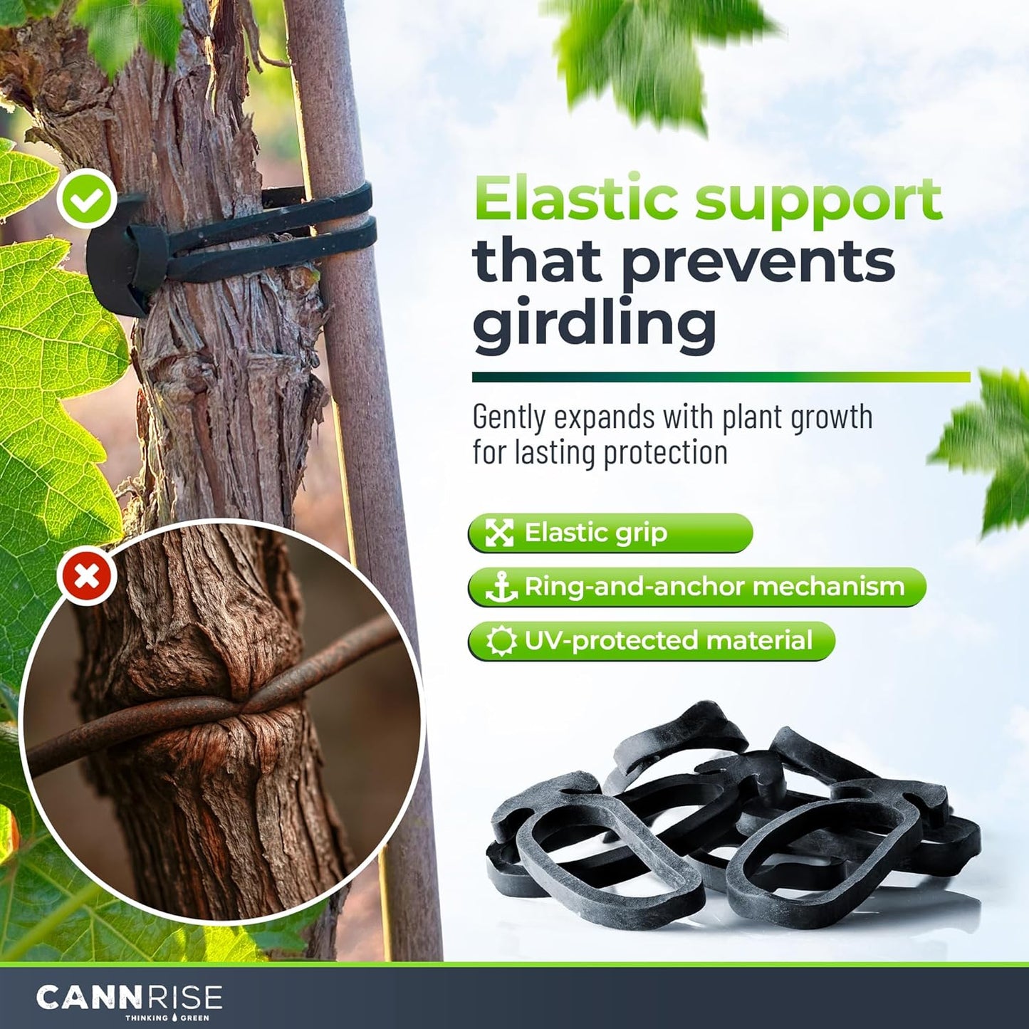 Anchor Rubber Bands for Trellising – 110 Pack of 5 cm/1.96 inches Rubber Bands for Outdoor Plant Support, Climbing Plants, Grape Vines, Trees – UV-Protected, Elastic, Multi-Purpose Use